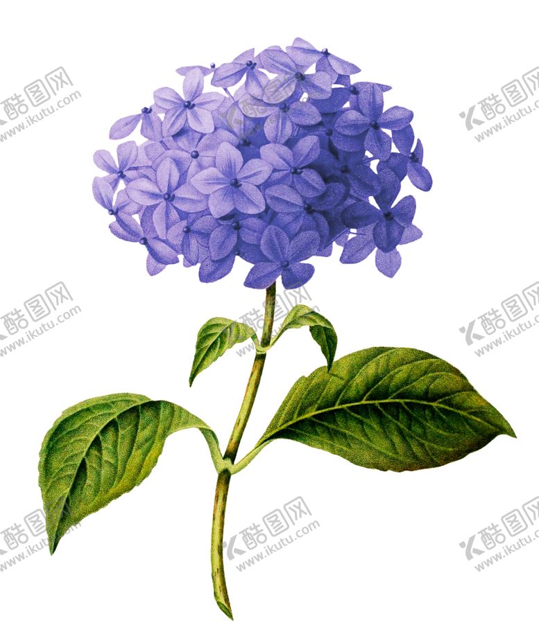 编号：15453506291423348106【酷图网】源文件下载-复古鲜花主题装饰图案