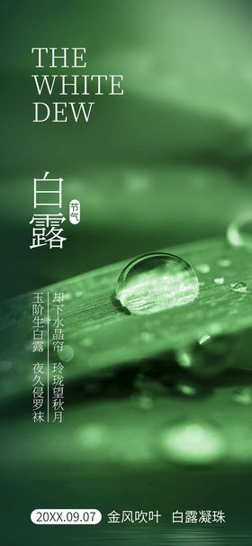 白露海报