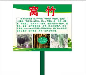 窝竹简介牌子