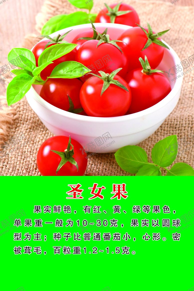 编号：22670509280753544044【酷图网】源文件下载-圣女果