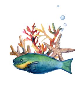 海洋主题插画