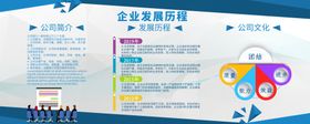 发展历程