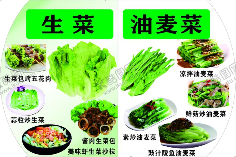 编号：89146002031147349146【酷图网】源文件下载-油麦菜生菜牌