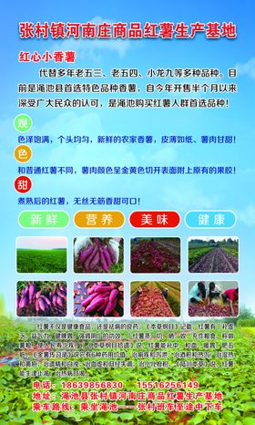 红薯室外写真覆膜腹板加金边