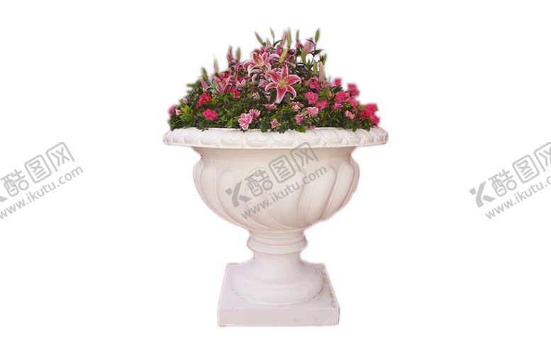 编号：42811210301519043060【酷图网】源文件下载-植物