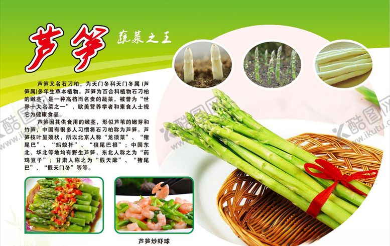 编号：39075510310612536231【酷图网】源文件下载-芦笋