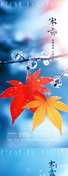 寒露节气海报珠蓝色冬季枫叶