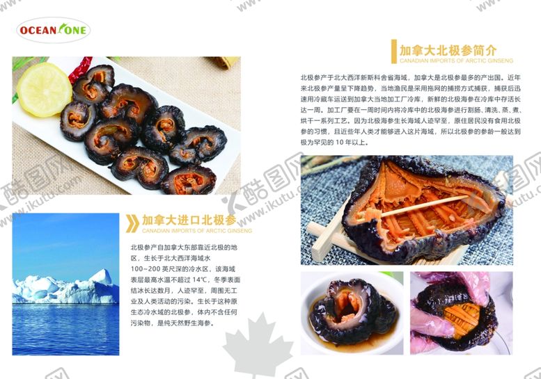 编号：47579710270747394139【酷图网】源文件下载-加拿大北极参