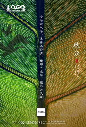 简约银杏叶秋分大气海报