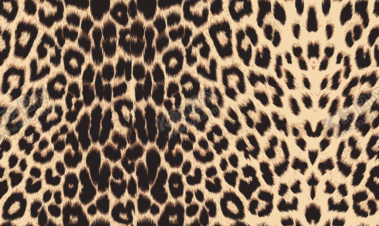 编号：35236504082138455235【酷图网】源文件下载-豹纹图案布料纹理