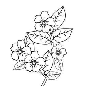 线条植物花朵