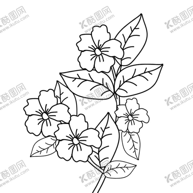 编号：24570810280807584370【酷图网】源文件下载-线条植物花朵