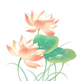 荷花素材手绘叶立夏背景夏至