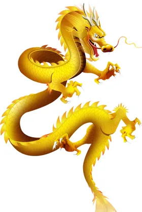 金龙插画免扣色
