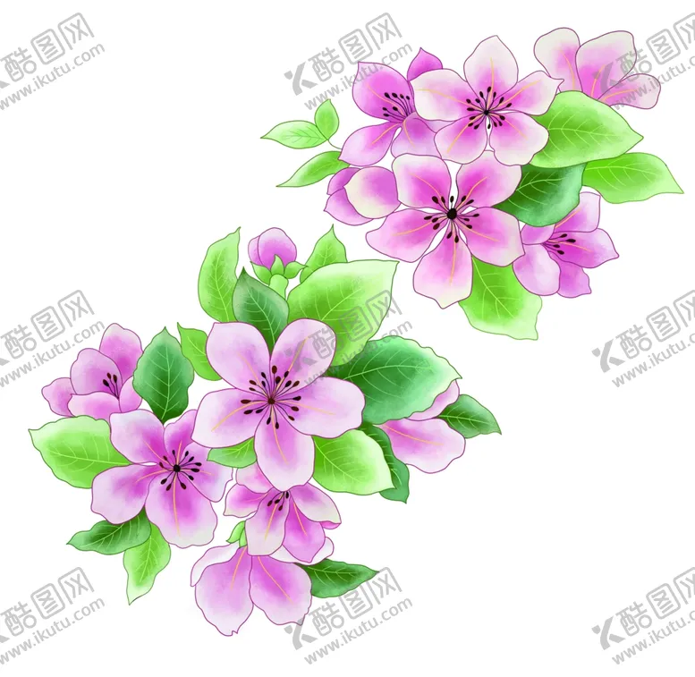 编号：26792902090847085549【酷图网】源文件下载-花卉设计