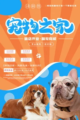 宠物海报美容动医院领养