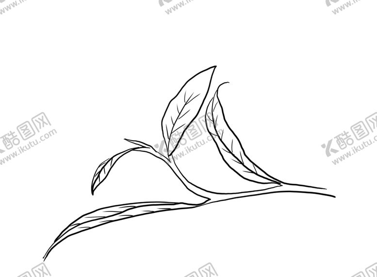 编号：83664211010337181808【酷图网】源文件下载-茶叶