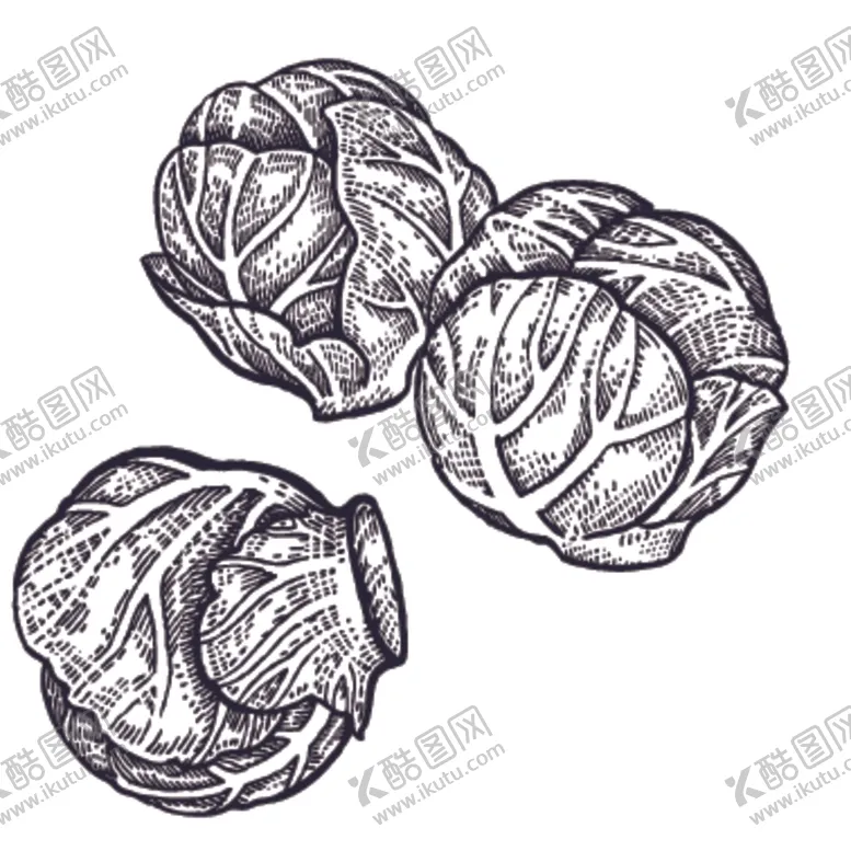编号：18632006250159419616【酷图网】源文件下载-餐饮食物插画元素