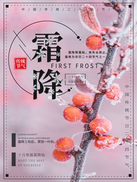 霜降节气海报单图飞机稿微信