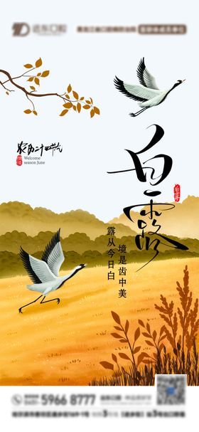 白露