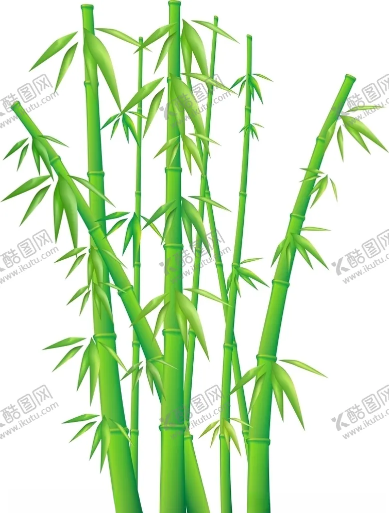 编号：23920703272100183326【酷图网】源文件下载-竹矢量