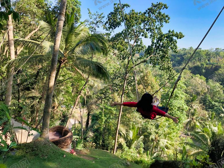 编号：63952407081227301072【酷图网】源文件下载-巴厘岛网红秋千