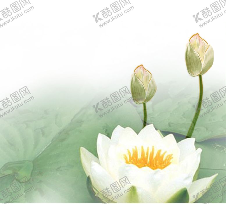 编号：91265603281223116335【酷图网】源文件下载-荷花元素