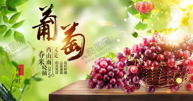 编号：64296307041000283631【酷图网】源文件下载-葡萄