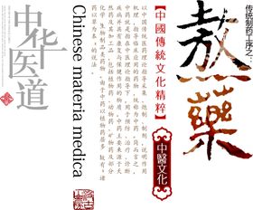 中华医道字体字形主题海报素材