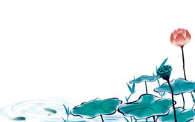 中国风山水荷花手绘画