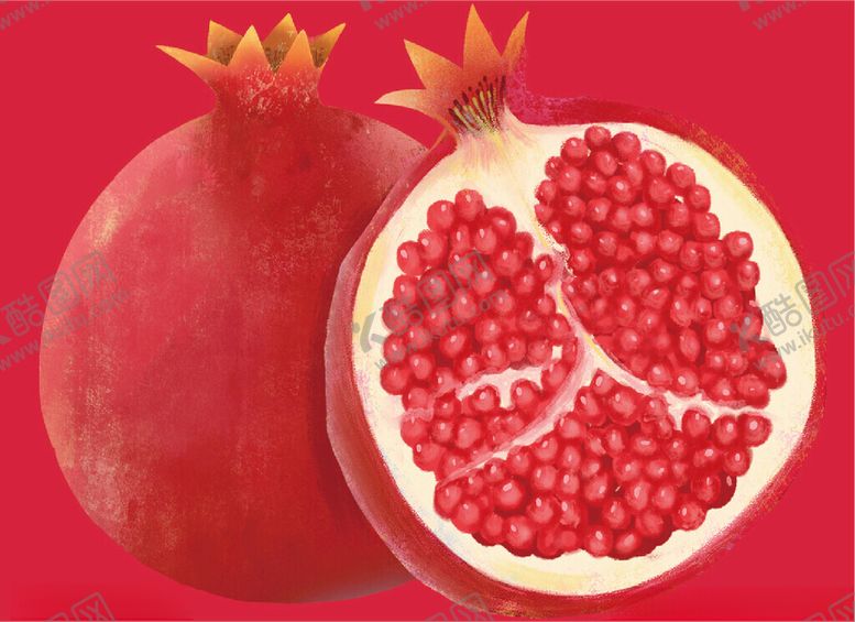编号：48271602220508526656【酷图网】源文件下载-石榴