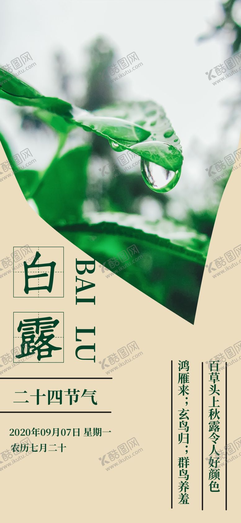 编号：11256710271210412291【酷图网】源文件下载-白露海报