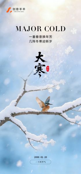 大寒节气节日海报