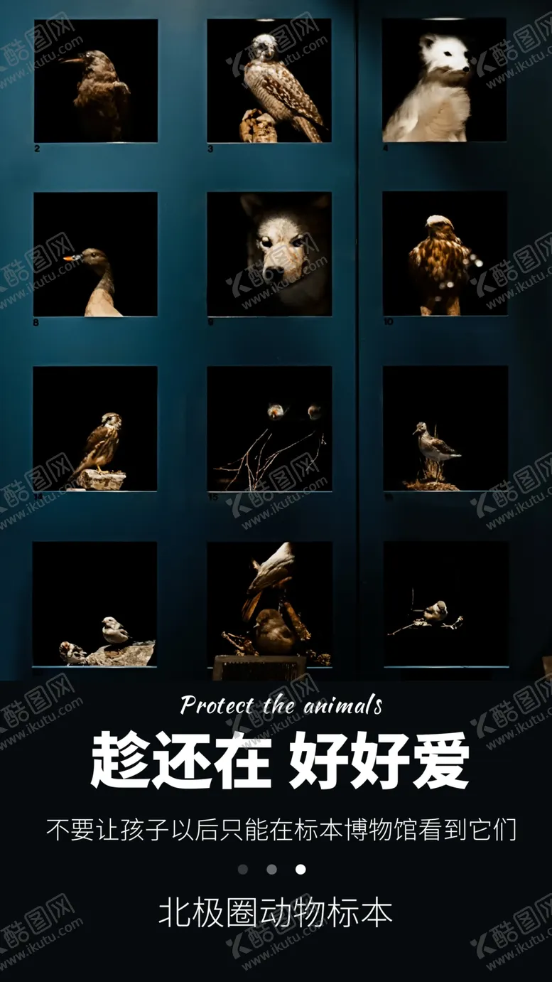 编号：61593705021147013974【酷图网】源文件下载-保护动物公益宣传海报