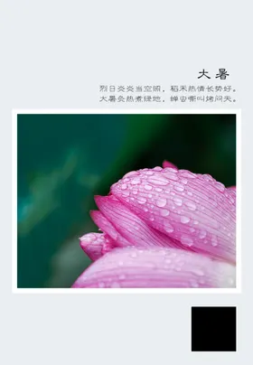 二十四节气大暑小清新传统日素材
