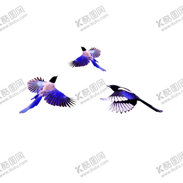 编号：54147307062223465840【酷图网】源文件下载-浪漫素材