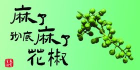 花椒优质丰产栽培技术封面