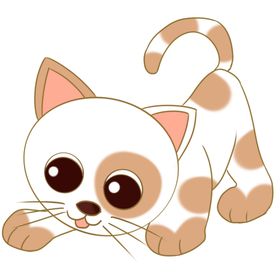 卡通猫