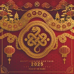 2025蛇年书法背景kv终盛典
