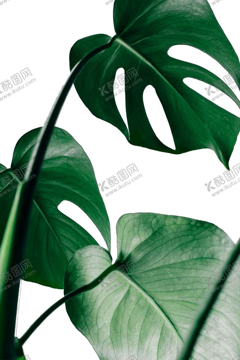 编号：43028409110640399799【酷图网】源文件下载-背景墙装饰画