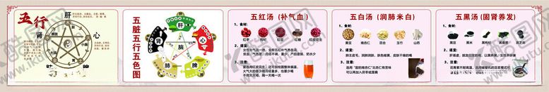 编号：23114604280918427619【酷图网】源文件下载-五行五脏