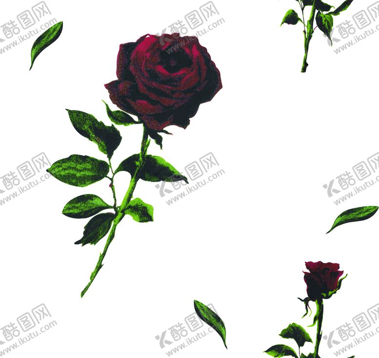 编号：39077610291322557795【酷图网】源文件下载-玫瑰