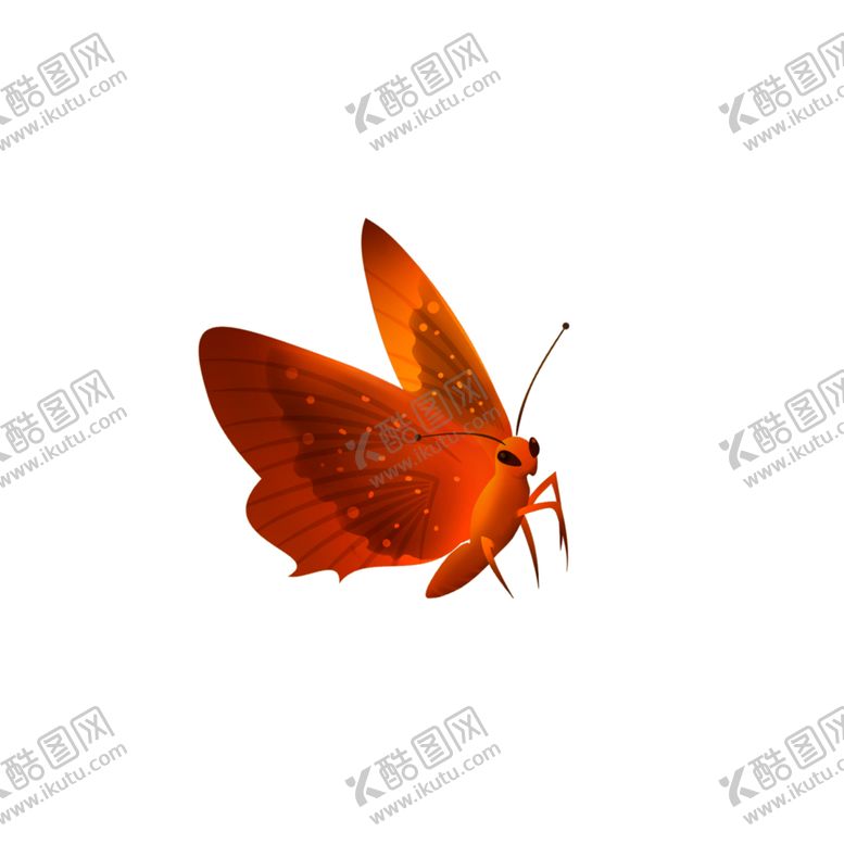 编号：17985610101929328275【酷图网】源文件下载-蝴蝶素材