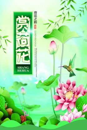 荷花