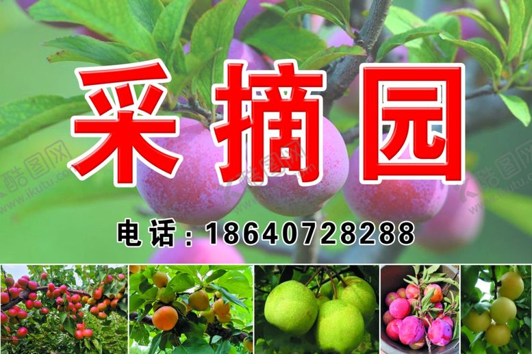 编号：93674206290151498207【酷图网】源文件下载-采摘