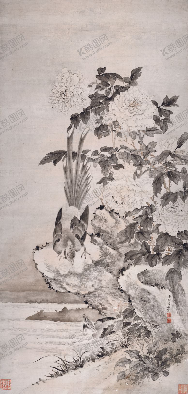 编号：75647909280315598076【酷图网】源文件下载-牡丹山鹧图