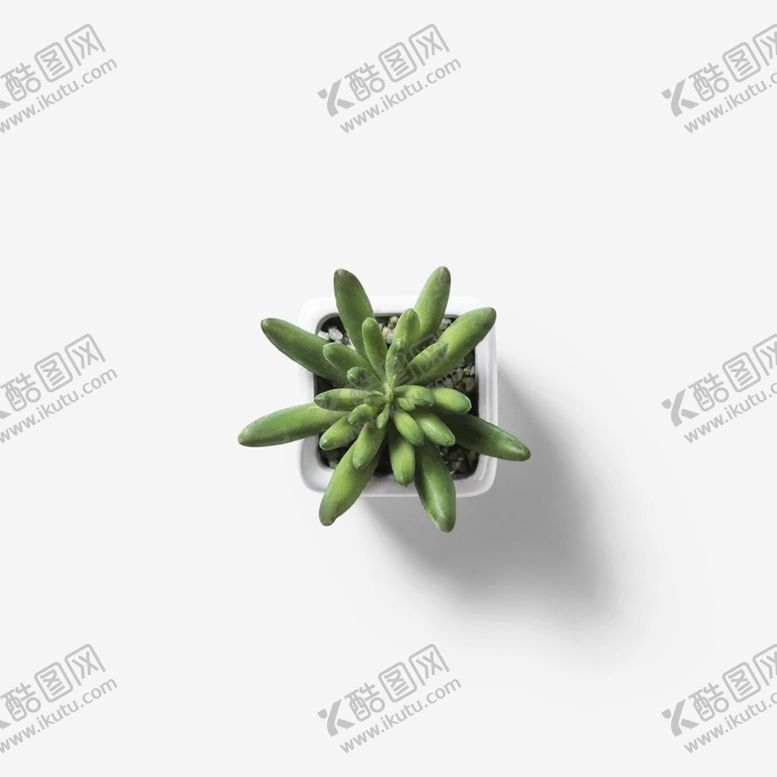 编号：31741002201500341352【酷图网】源文件下载-多肉盆栽