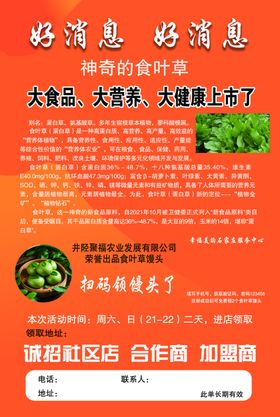 大食品大健康优惠上线啦