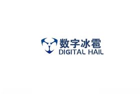 数字冰雹logo