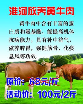 淮河放养黄牛肉